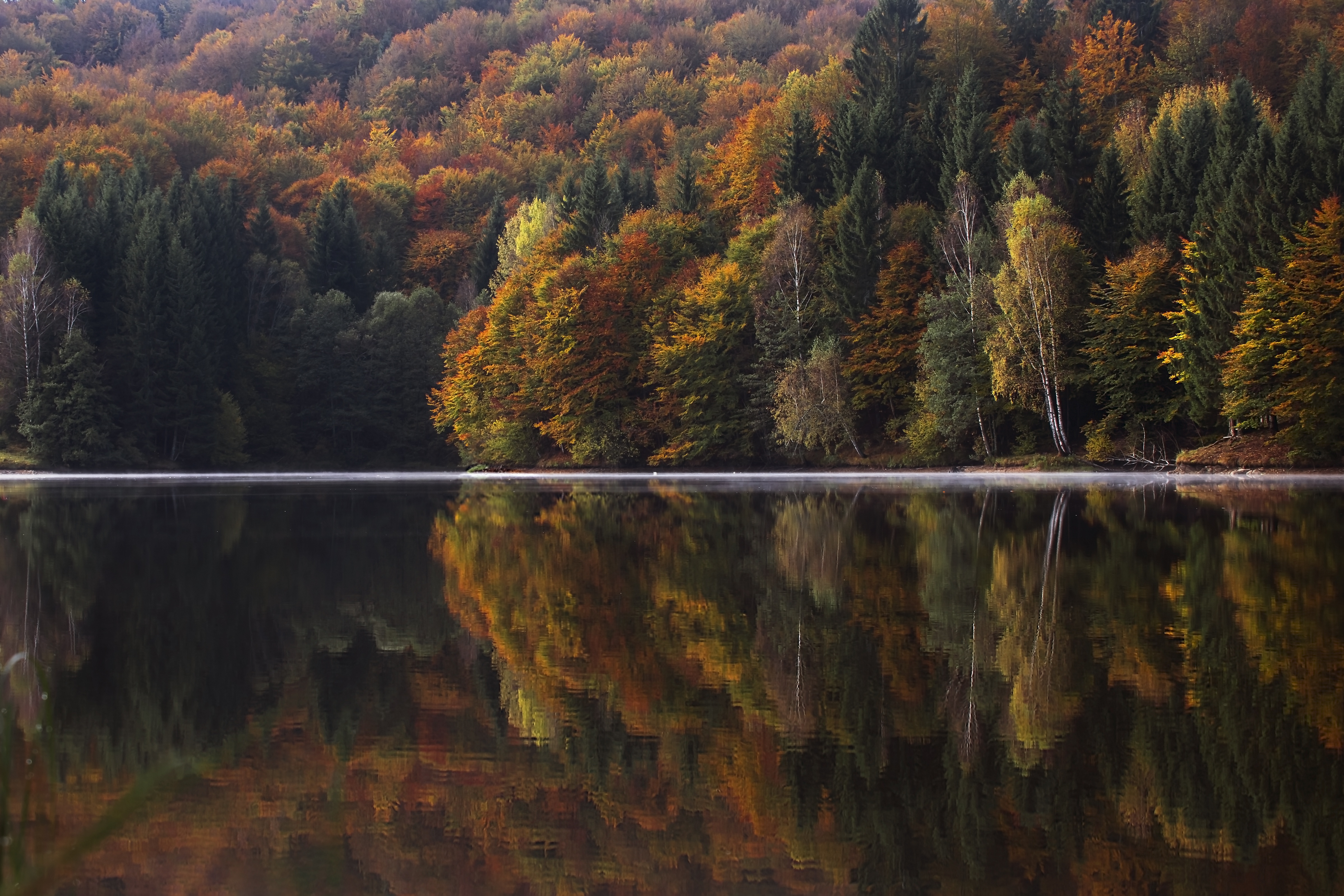 5 Of The Greatest Fall Foliage Spots In The Hudson River Valley